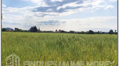 Foto 4 de Residencial en venda a Poligono 1, Sn, Centro, Illes Balears