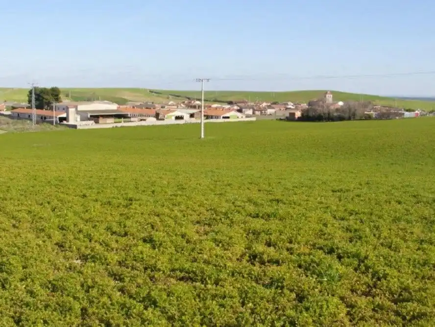 Lands and plots for sale in carcava, imagen 2