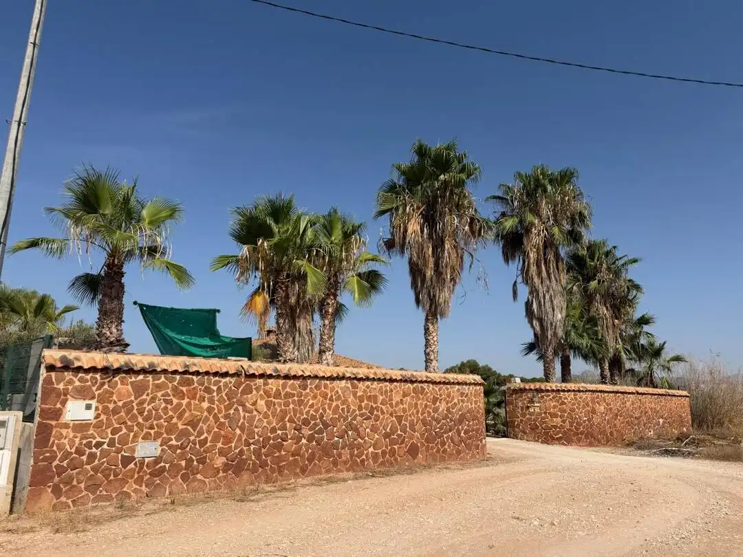 Vista exterior de Casa o chalet en venta en Elche / Elx con Aire acondicionado, Calefacción y Jardín privado