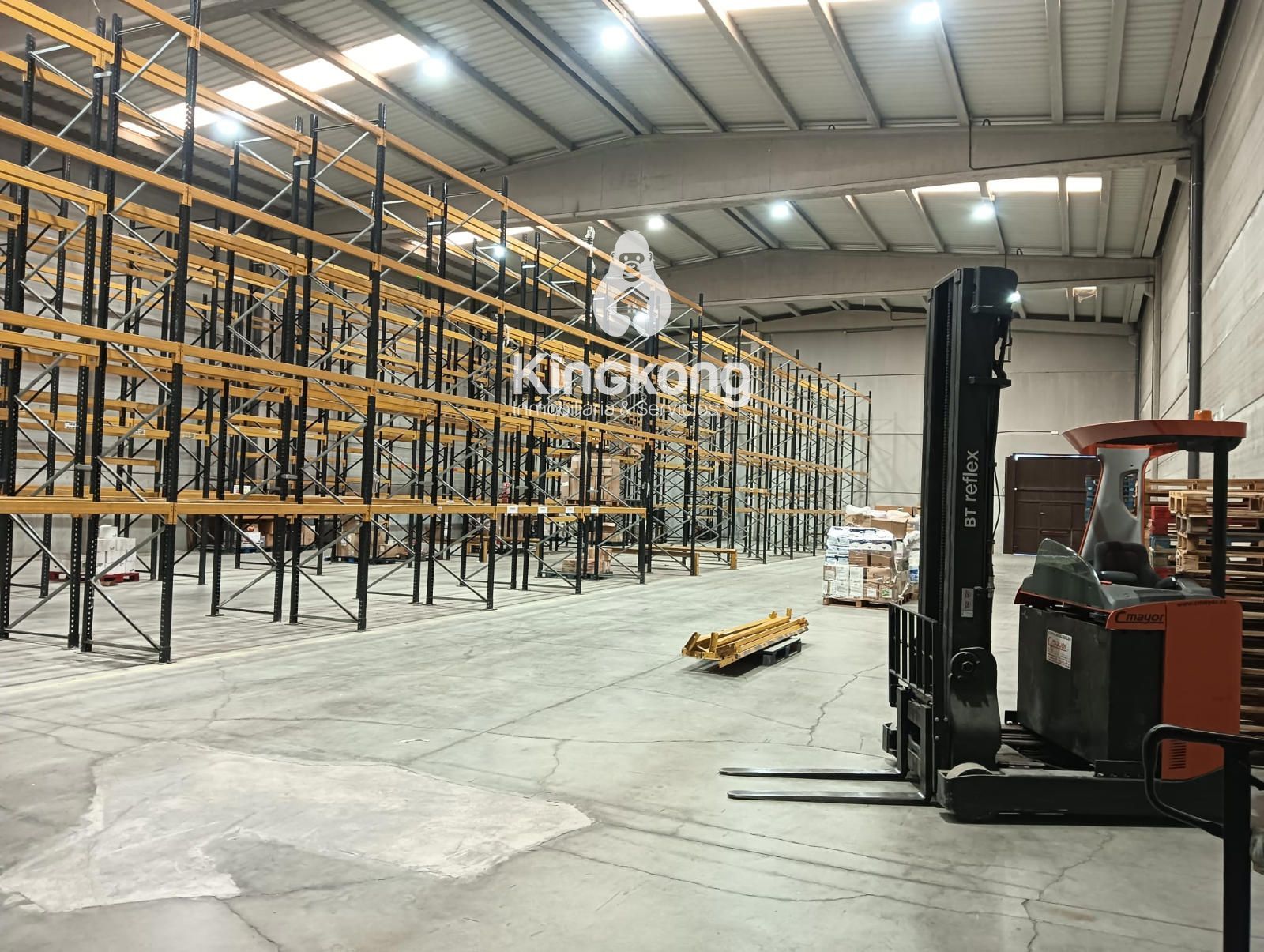 Nau industrial de lloguer en Loeches amb Alarma