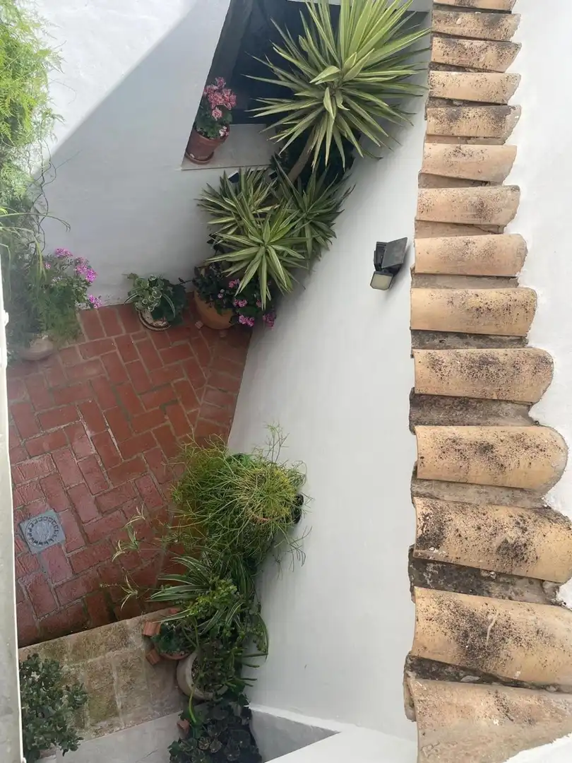 Terraza de Casa o chalet en venta en Zuheros