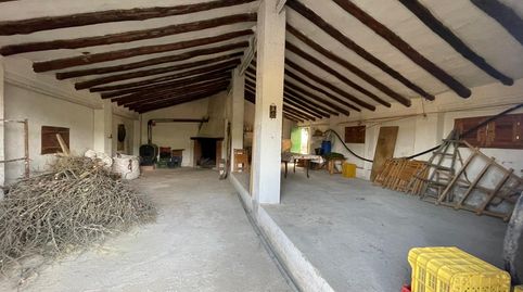 Se vende finca de 6.000 m² con olivares en producción, ideal para quienes buscan un entorno rural con posibilidades agrícolas y ha, imatge 4