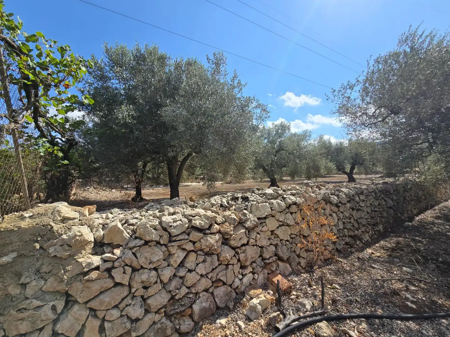 Finca rústica en venta en Freginals con Jardín privado