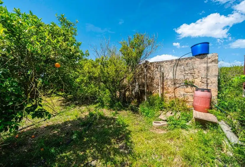 Rural land for sale in Santa Margalida Poble, imagen 14