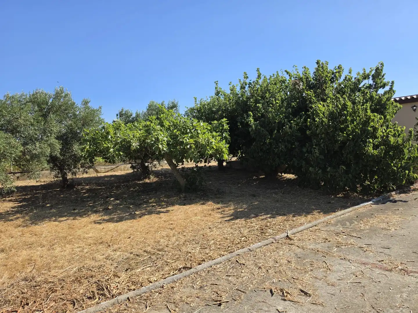 Rural land for sale in Calle Verea de la tarde