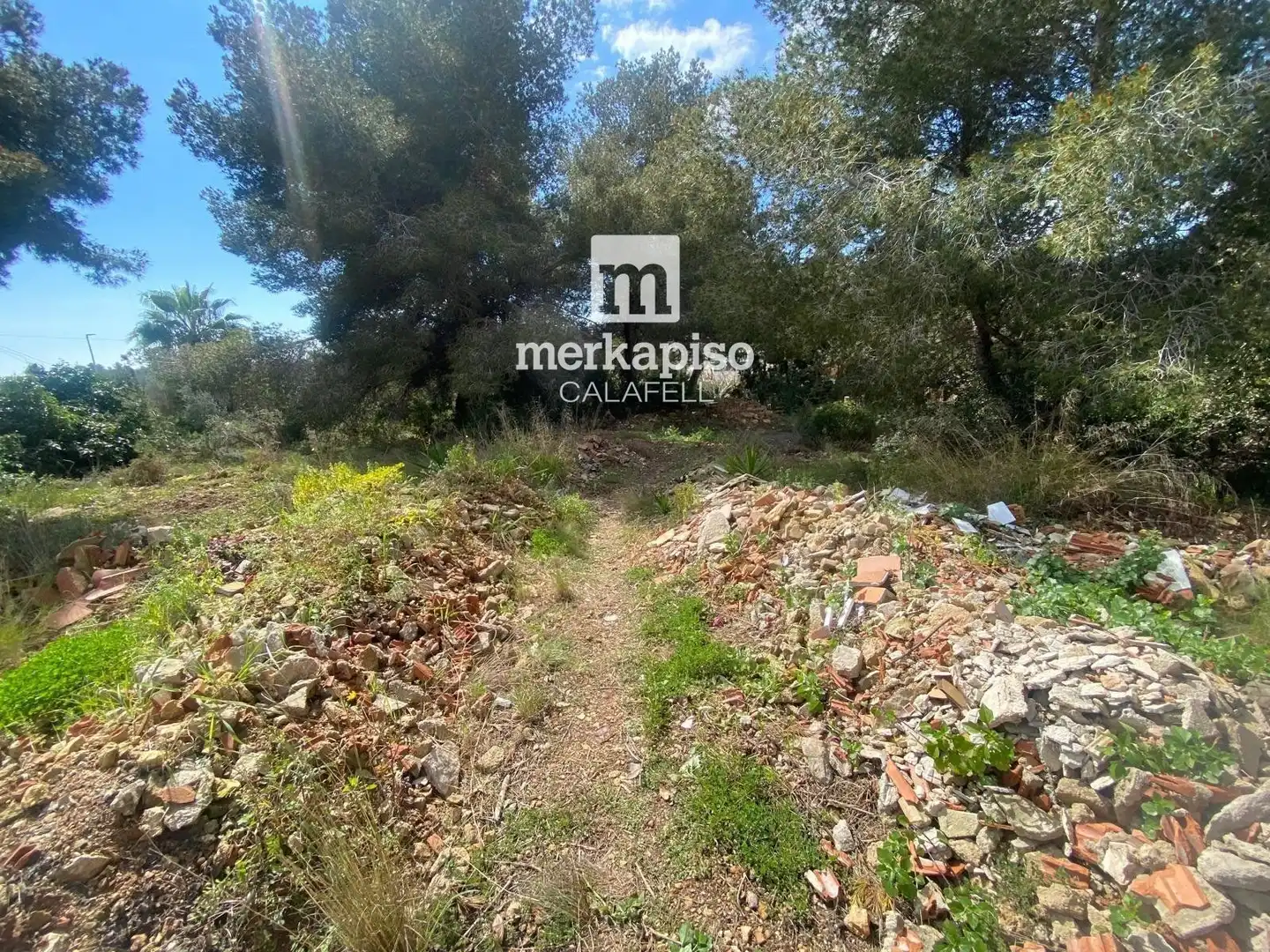 Terreny rústic en venda a Valldemar - Montmar, imagen 22