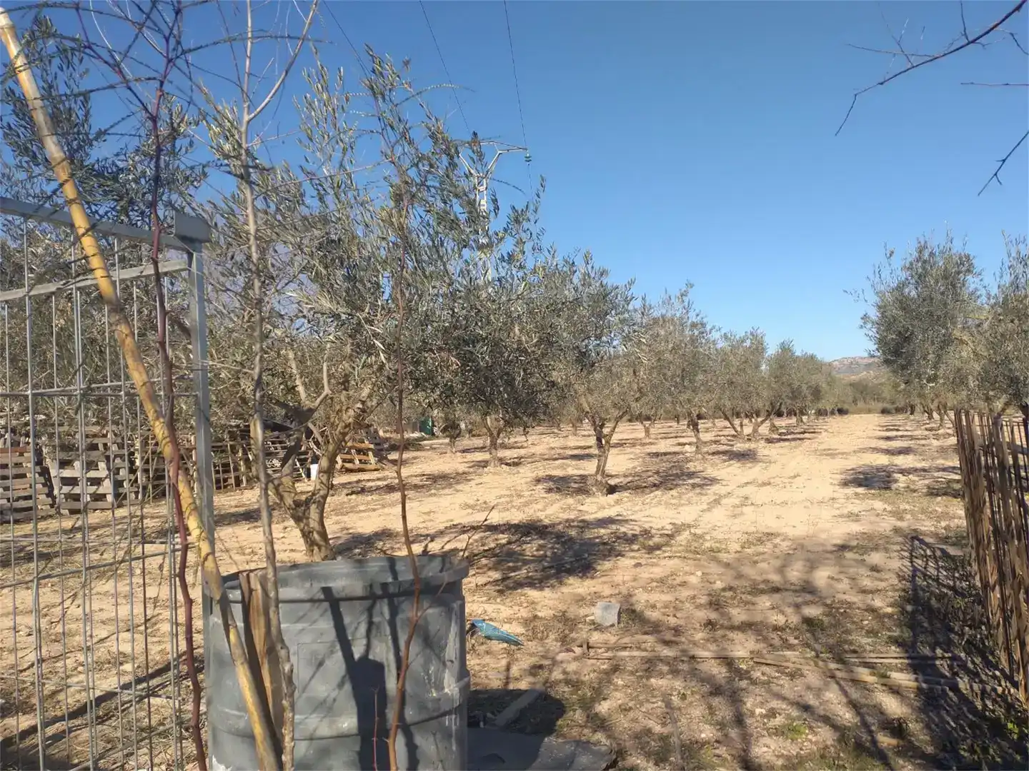 Finca rústica en venda en Sax amb Aire condicionat i Piscina