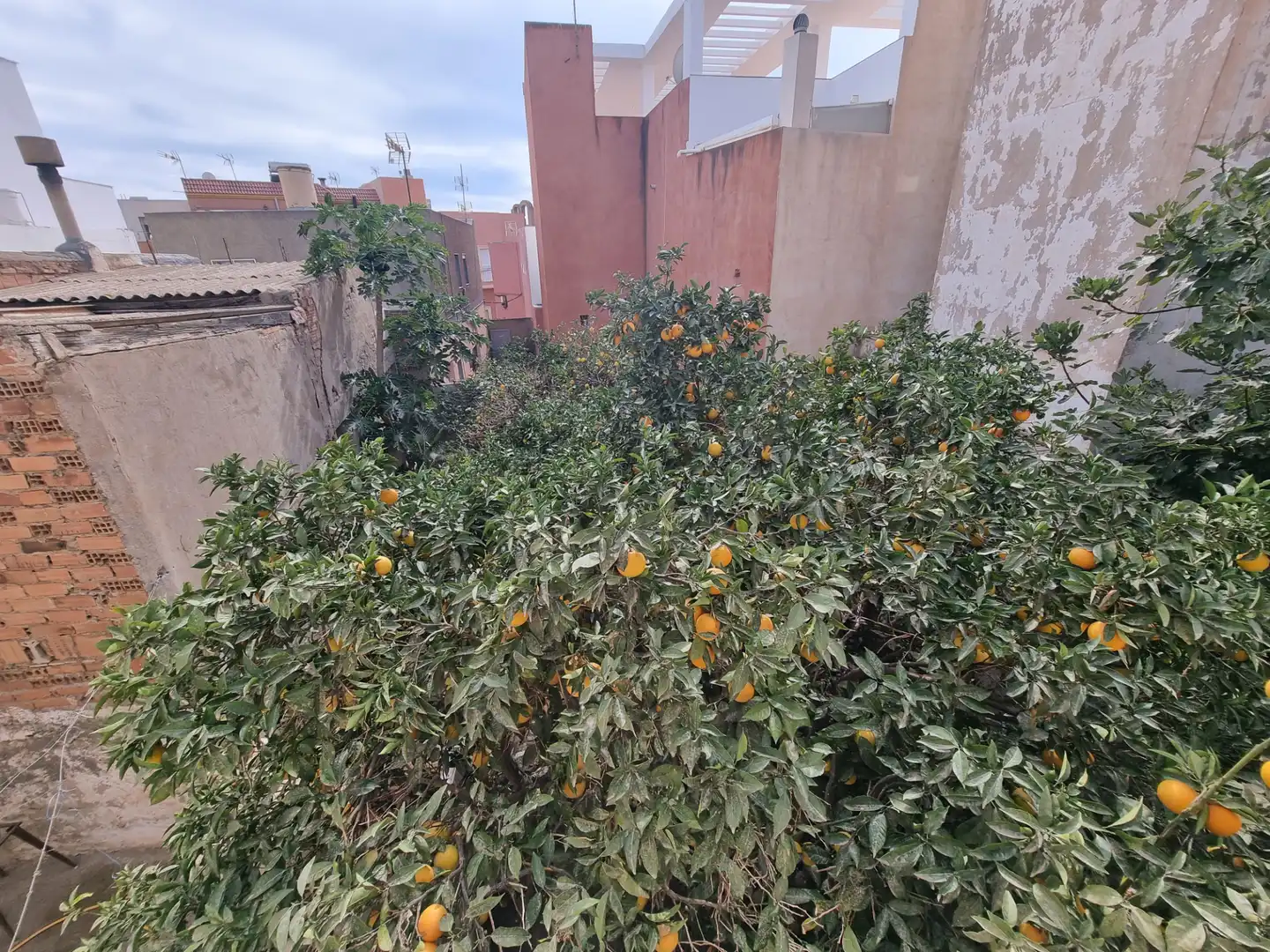Casa o xalet en venda en Almería amb Jardí privat, Terrassa i Moblat