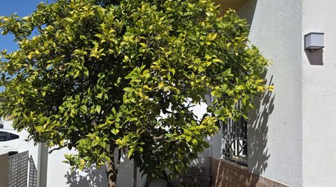 Foto 4 de Casa adosada en venta en Castilleja de la Cuesta, Sevilla