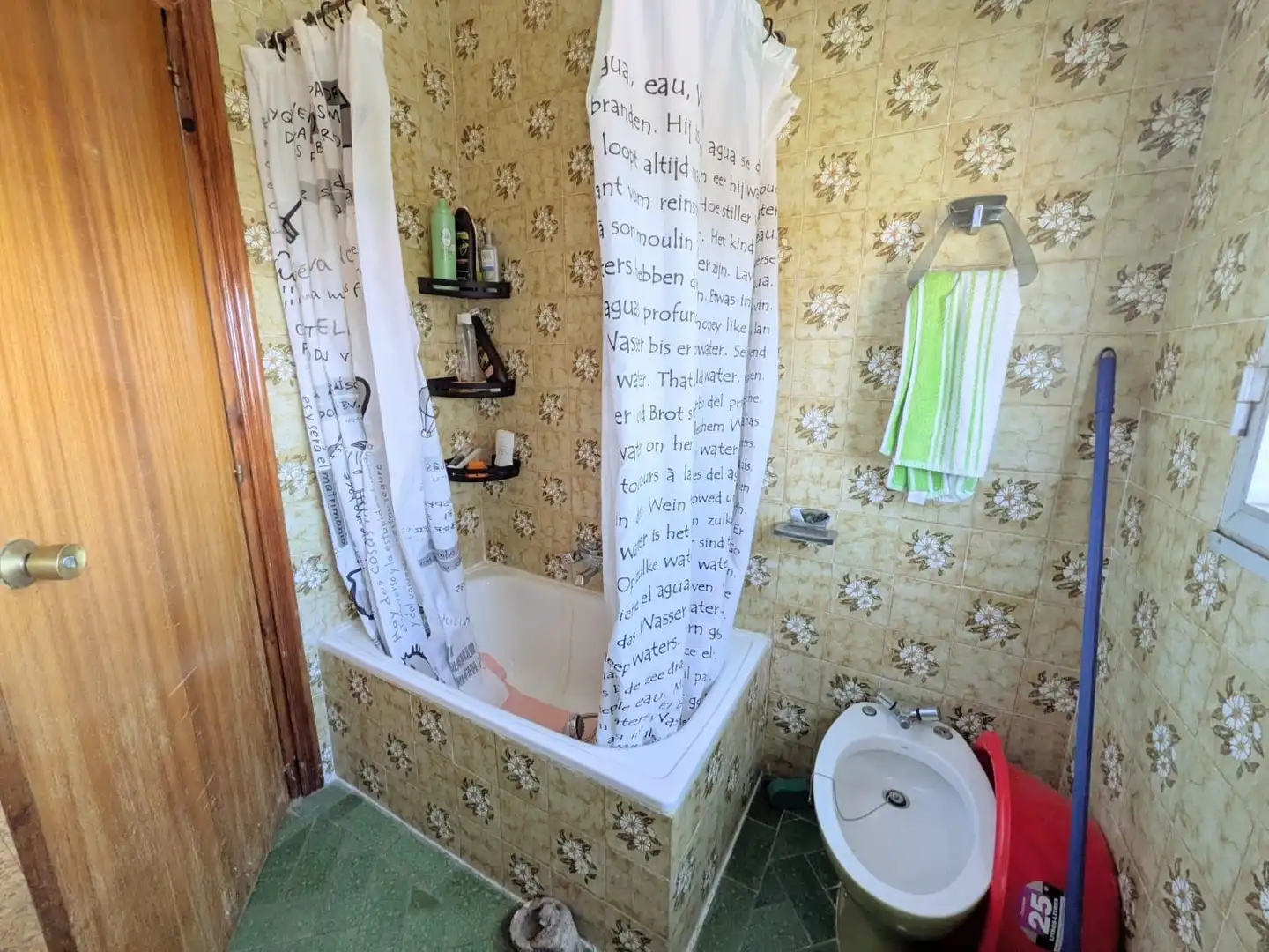 Bany de Casa o xalet en venda en Escopete