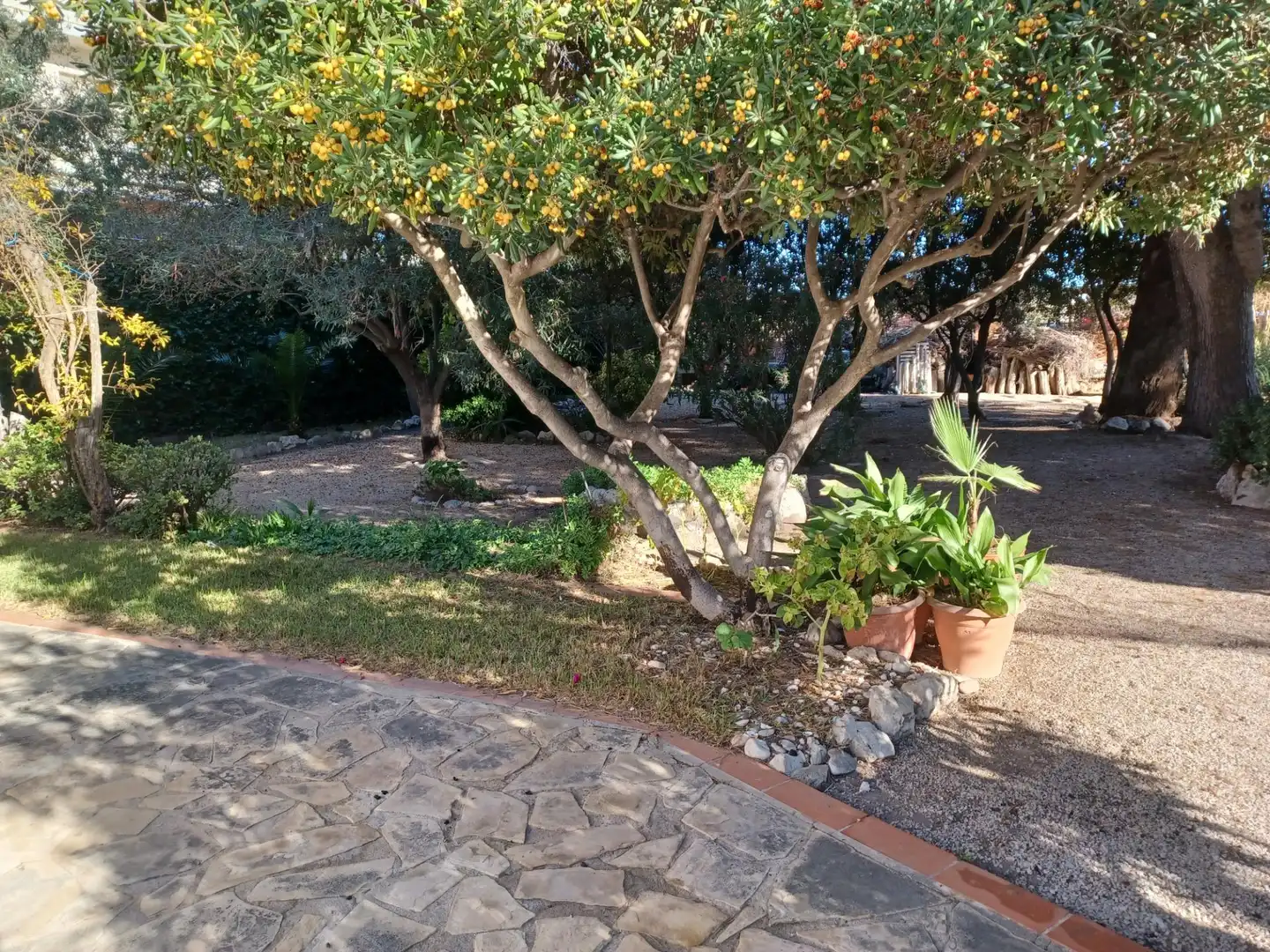 Jardí de Casa o xalet en venda en Cubelles amb Jardí privat