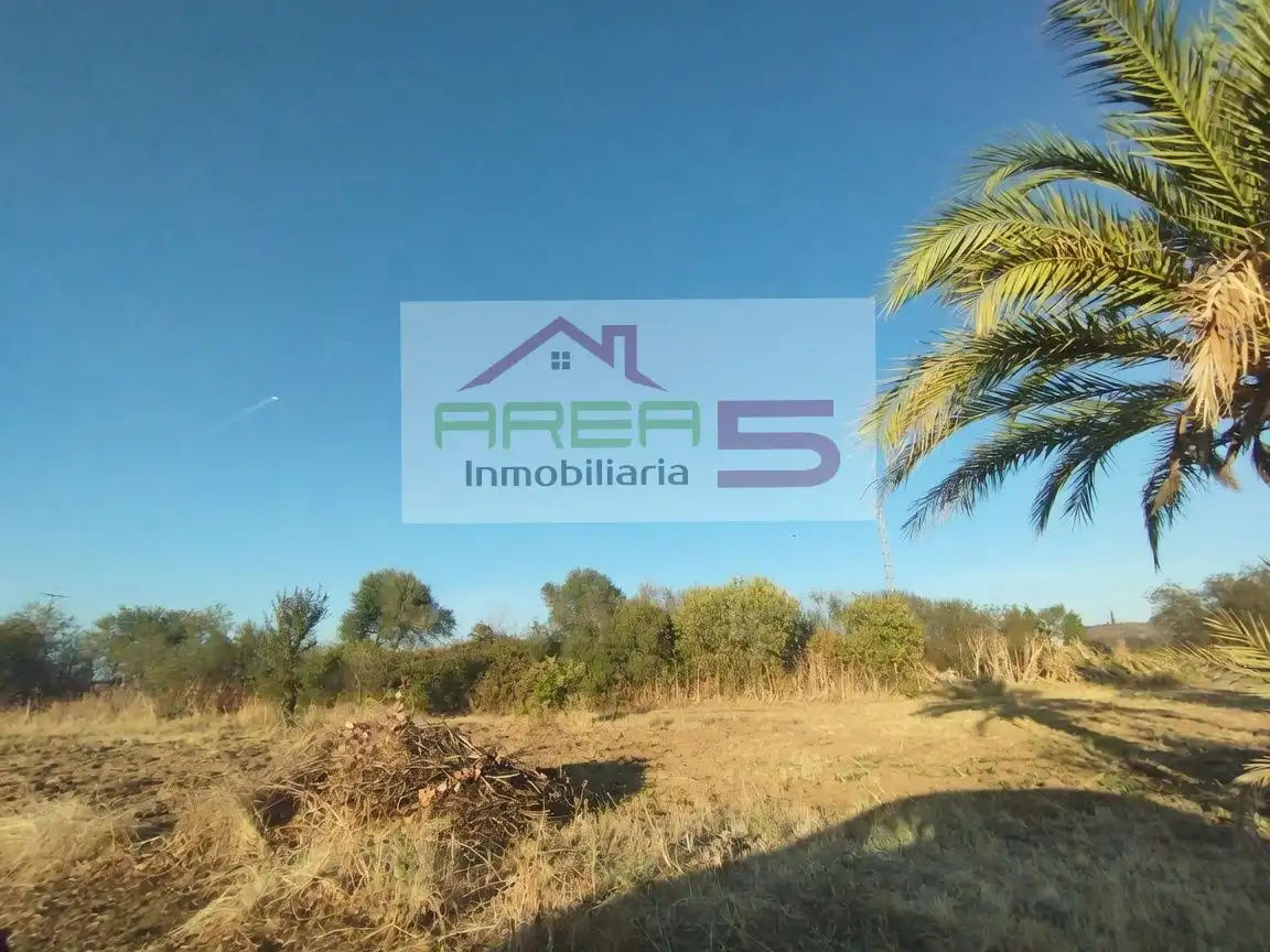 Chalet con piscina en venta en Oeste, imagen 26