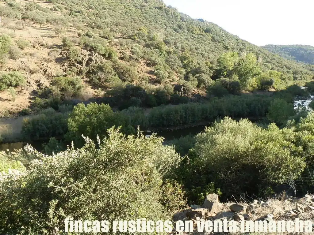 Rustikales Grundstück zum Verkauf in Avenida Ciudad Real Pol N 7, imagen 3