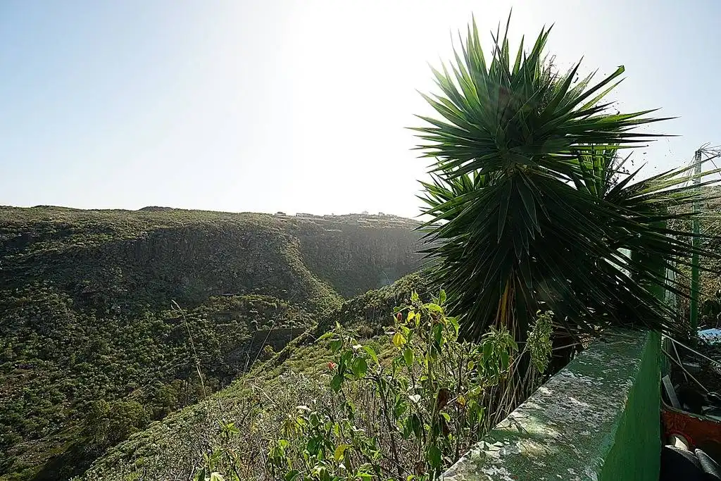 Finca rústica en venta en Camino DEHESA, 10, Santa María de Guía de Gran Canaria