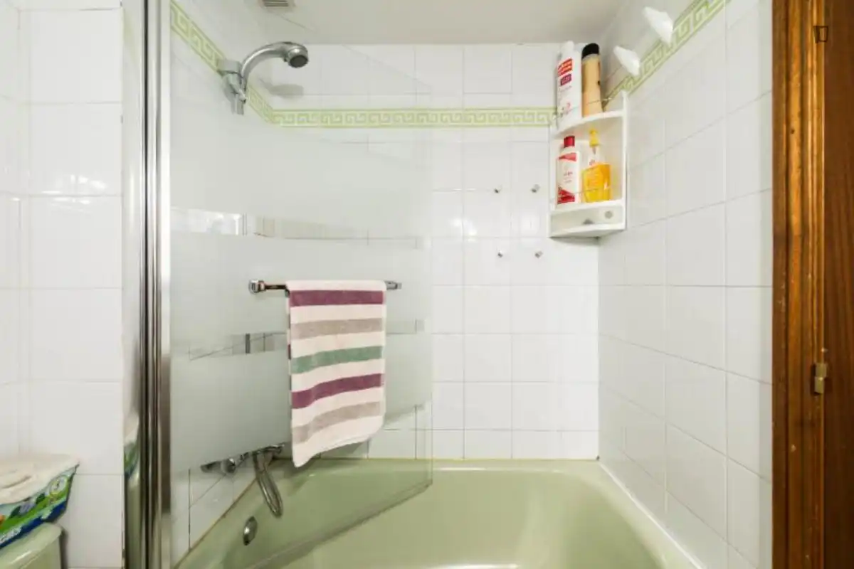 Bathroom of Apartments for rent in Madrid  with Air Conditioner, Heating and Furnished
