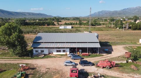 Finca de regadío con dos viviendas, ideal para la cría de ovejas