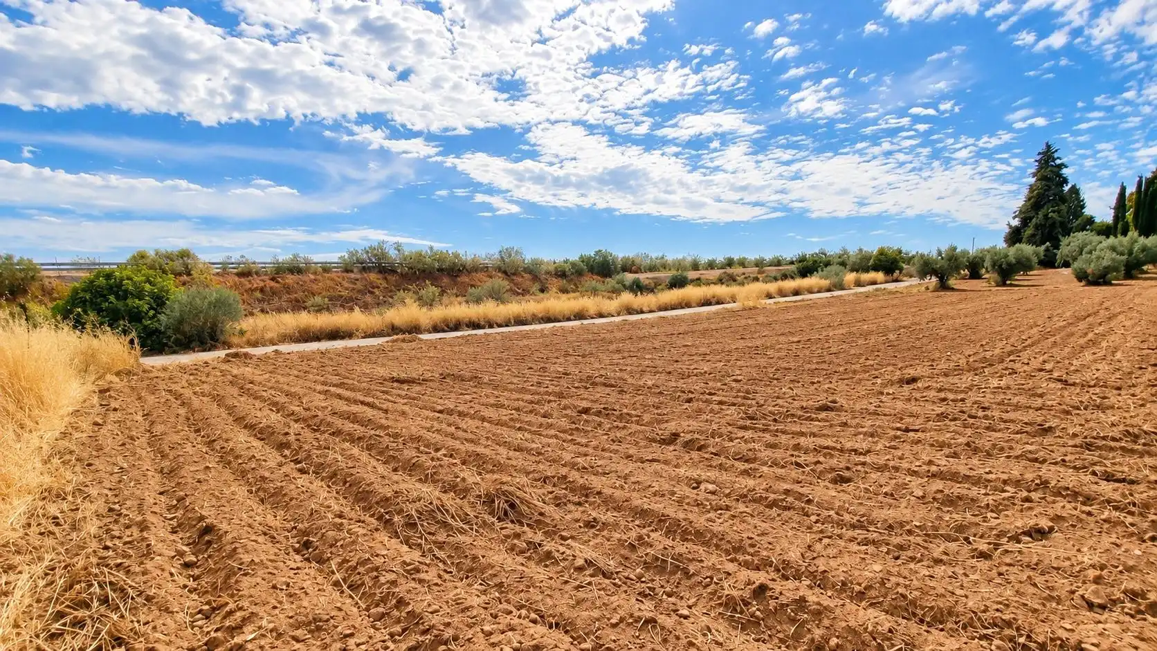 Terreno rústico en venta en Moraleda de Zafayona, imagen 2