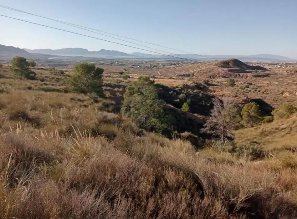 Terrenys i solars en venda a Abanilla, imagen 2