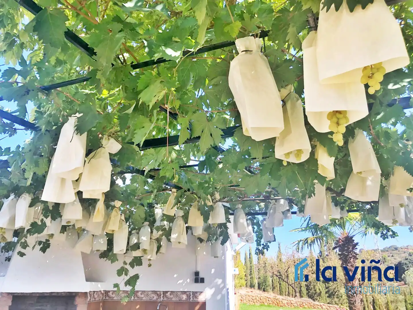 Chalet con piscina en venta en Villanueva del Rosario, imagen 6