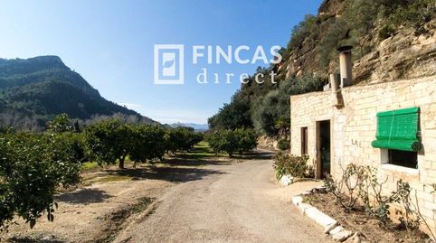 Retiro a Orillas del Ebro Casita  Almacén en 2 Parcelas, imagen 3