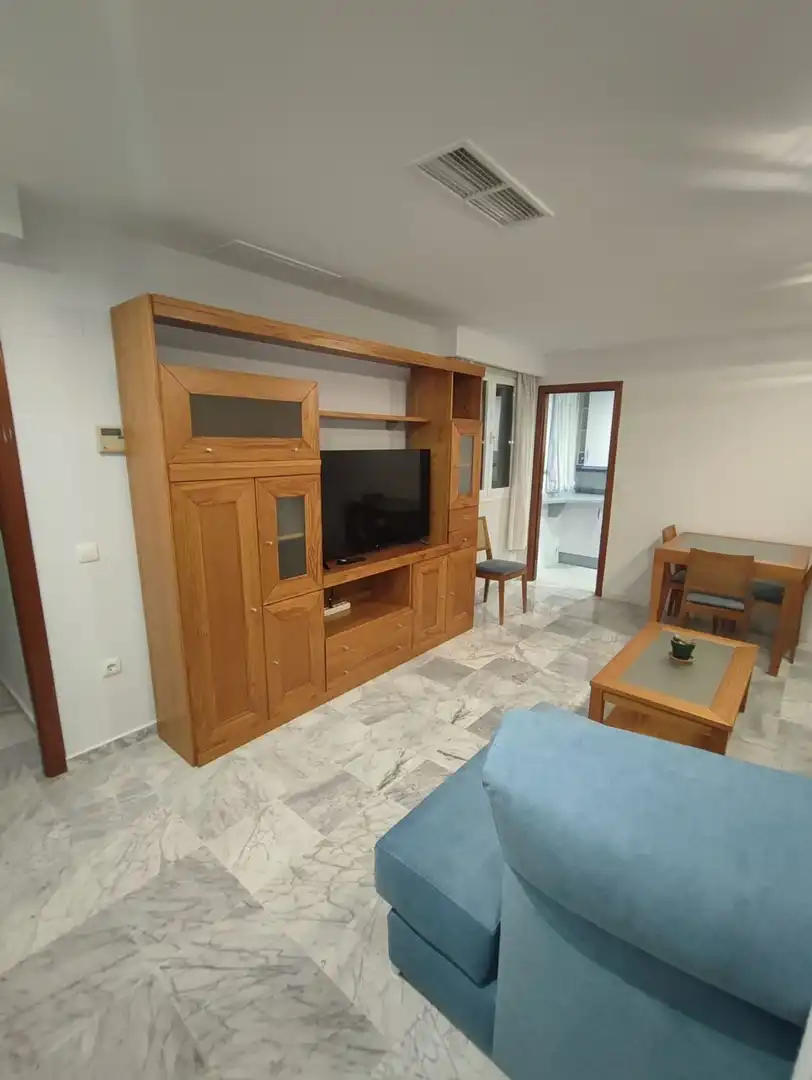 Sala de estar de Piso de alquiler en Sevilla con Aire acondicionado, Calefacción y Horno