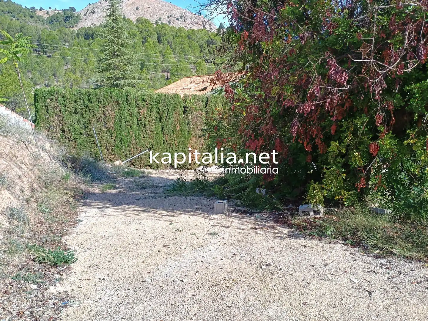 Terreny residencial en venda a Cocentaina, imagen 4