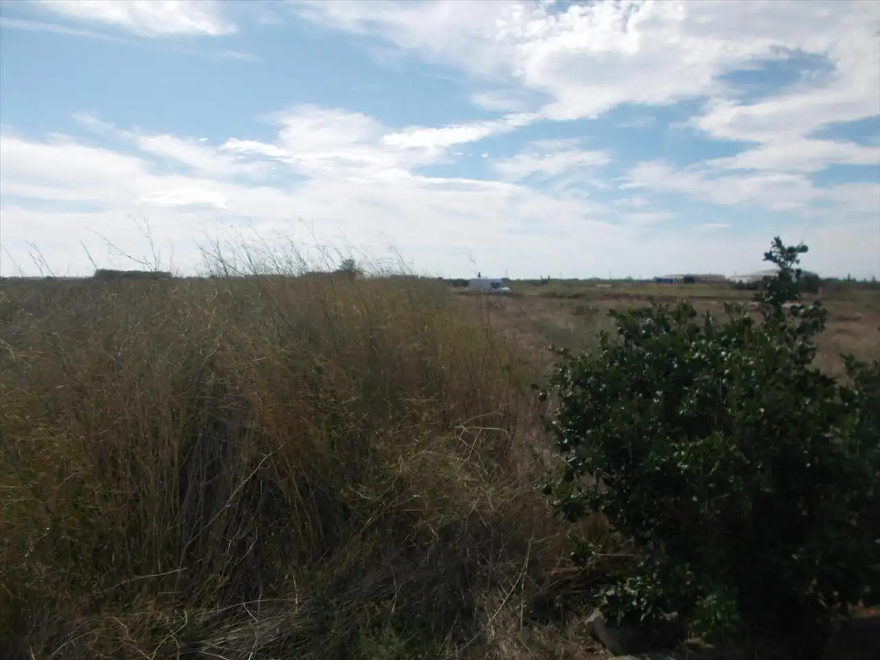 Terreny residencial en venda a Proc. Simplificado, imagen 2