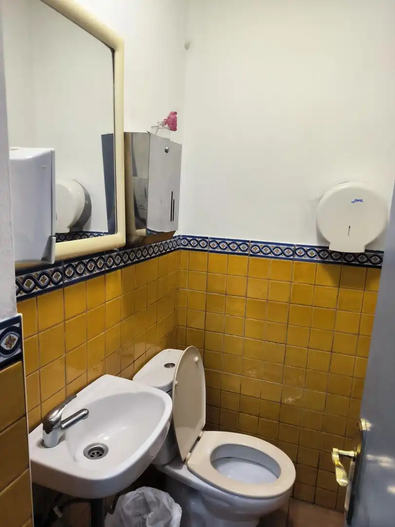 Gewerbefläche zum Verkauf in Centro ciudad, imagen 13
