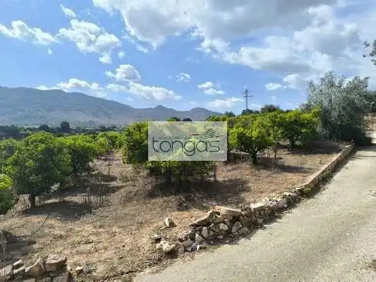 Terreny rústic en venda a Vallés, imagen 13