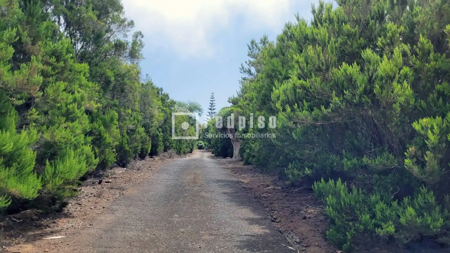 Casa en venda a El Sauzal, imagen 2