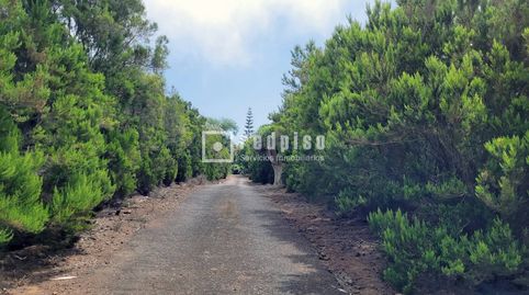 REDPISO PONE EN VENTA Y EN EXCLUSIVA ESTA ESPECTACULAR FINCA, imatge 3