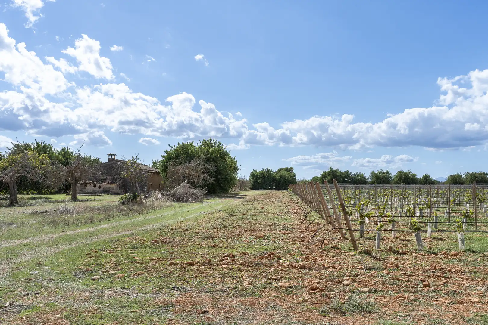 Residential for sale in Binissalem
