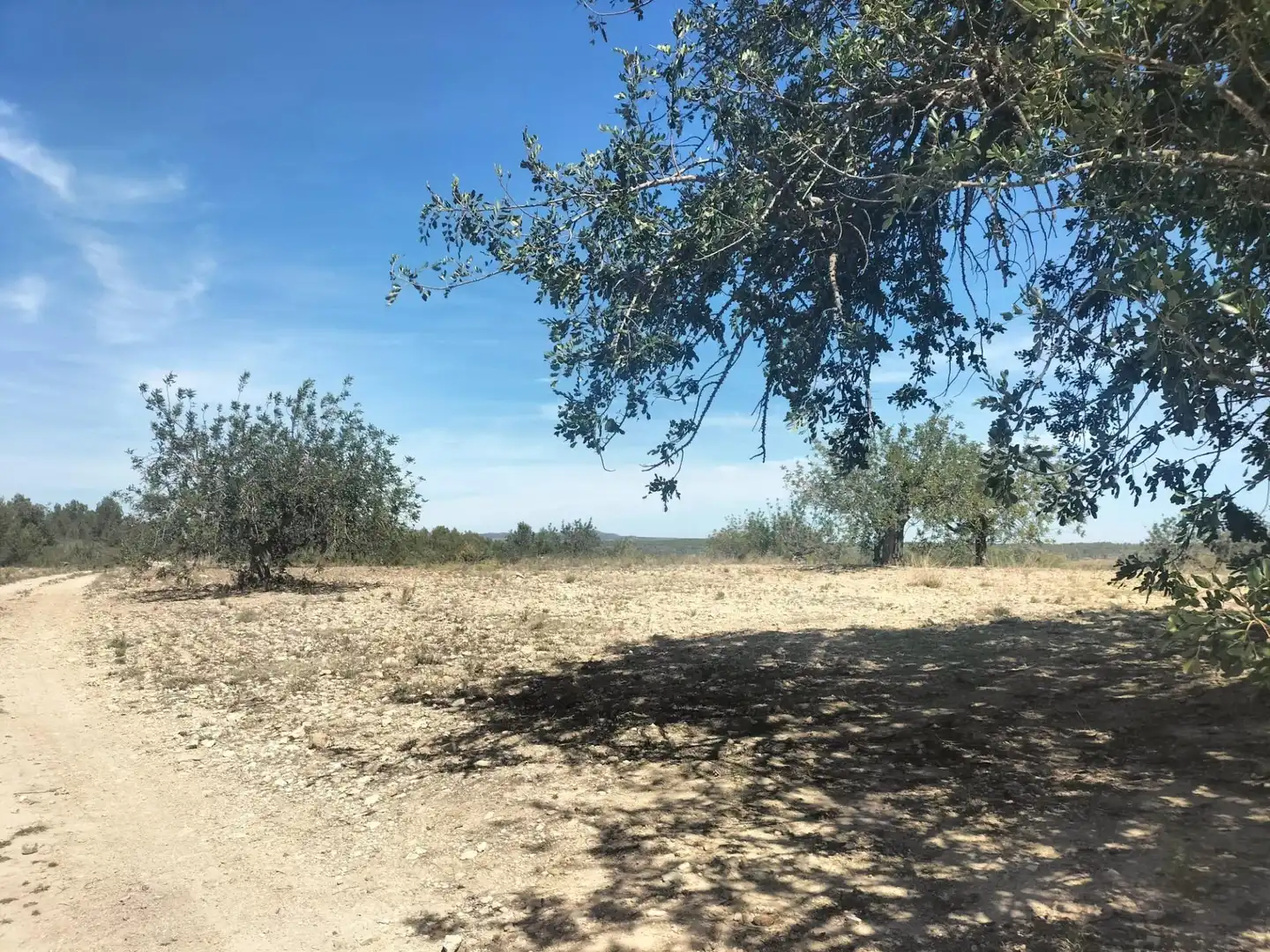 Terreno rustico in vendita a Navarrés, imagen 26