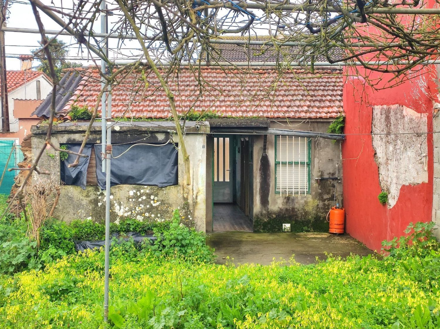 Vista exterior de Casa o chalet en venta en Culleredo con Jardín privado y Trastero