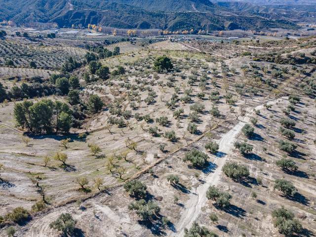 Terreno en Venta en  Jayena, 1 en Jayena