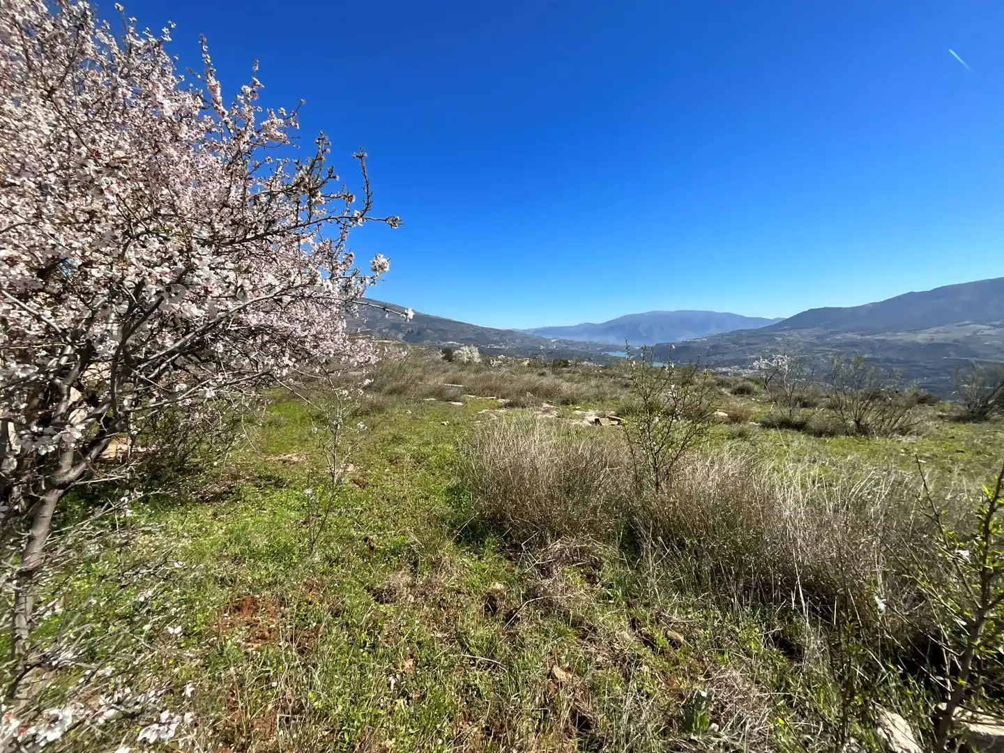 Terreni e lotti in vendita a El marchal, El valle, imagen 33
