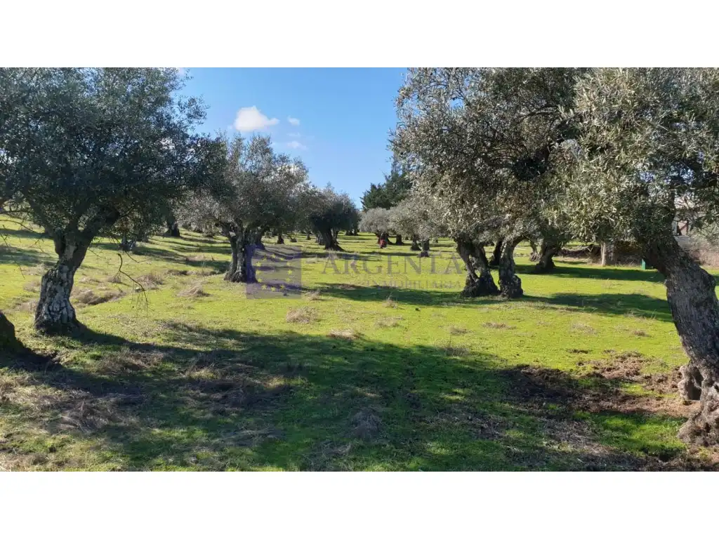 Houses for sale in Diseminados S Miguel, Alcántara