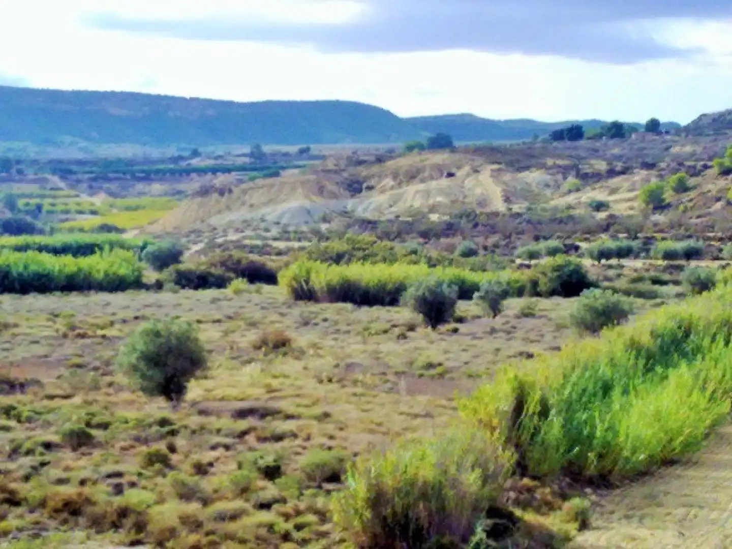 Terreno residenziale in vendita a Campo de Murcia, imagen 7