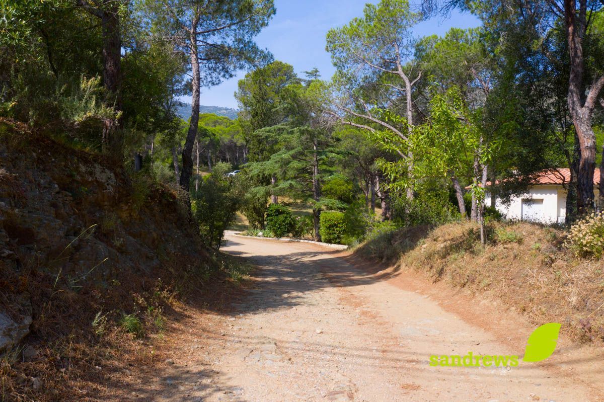 Vista exterior de Casa o xalet en venda en El Port de la Selva amb Aire condicionat, Calefacció i Jardí privat