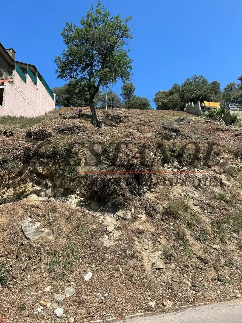 Wohnbaugrundstück zum Verkauf in Montferrer i Castellbò, imagen 12