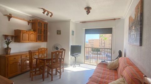 Foto 2 de Apartament de lloguer a Las Viñas, Guardamar del Segura