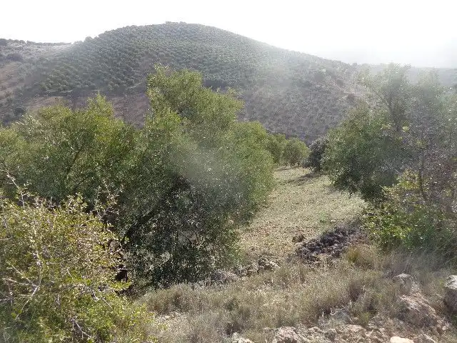 Terreni e lotti in vendita a Huelma, imagen 8