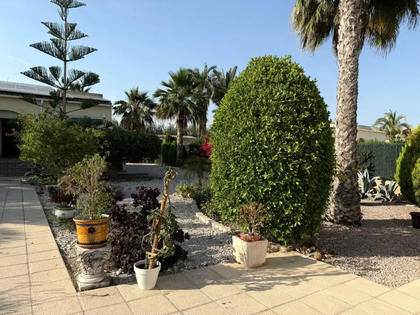 Jardí de Casa o xalet en venda en Catral amb Aire condicionat i Piscina
