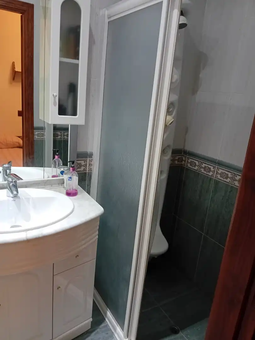 Bathroom of Houses for sale in Ciudad Real  with Air Conditioner, Heating and Private garden