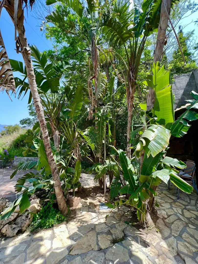 Casa rustica con piscina in vendita a Valtocado - La Alquería - La Atalaya, imagen 5