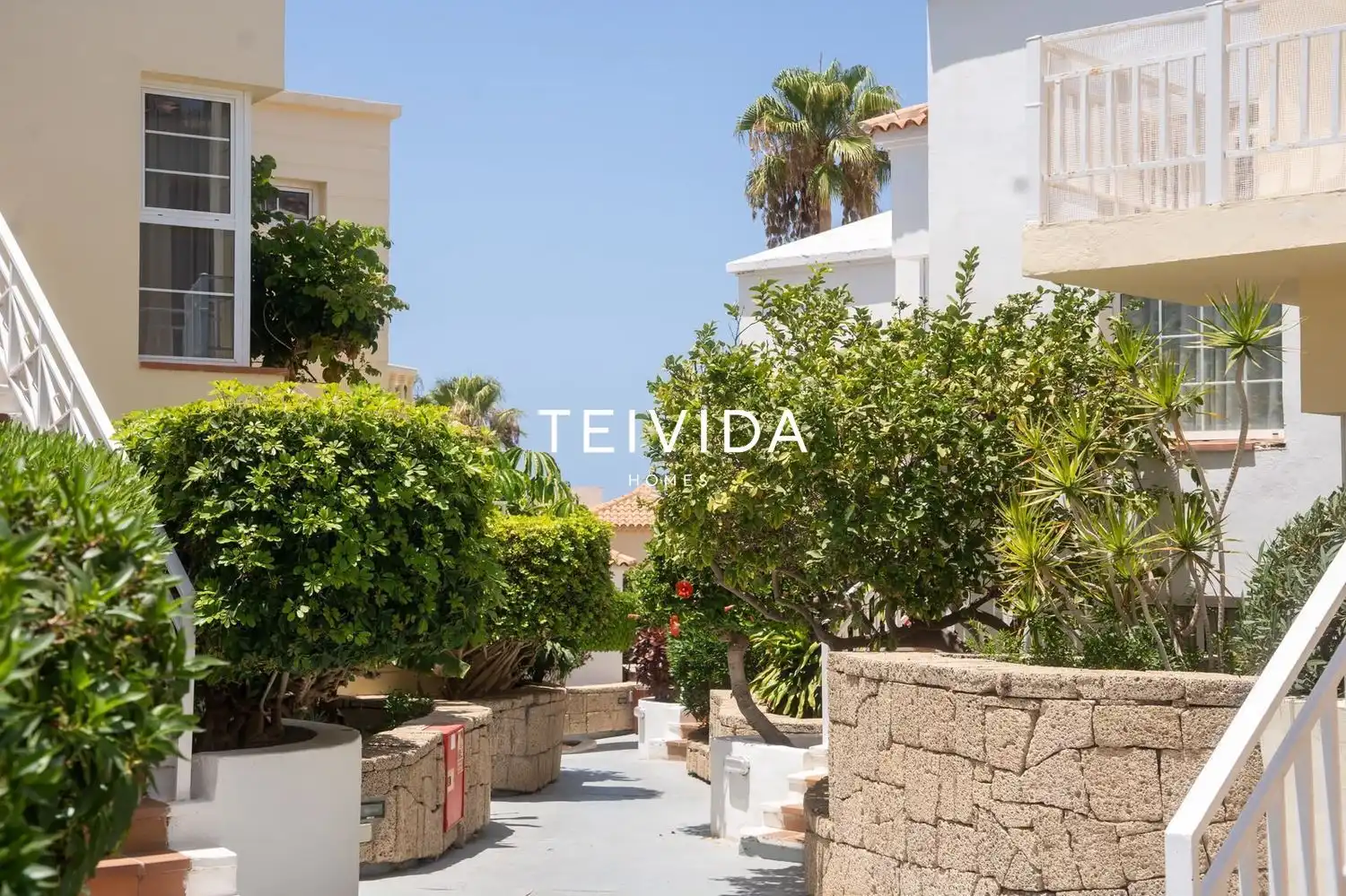 Terrace of Flat for rent in Adeje  with Terrace, Swimming Pool and Furnished
