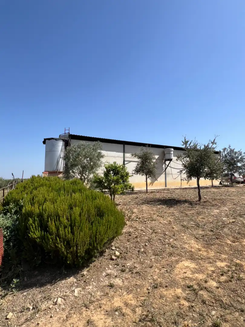 Terreni e lotti in vendita a Almonte ciudad