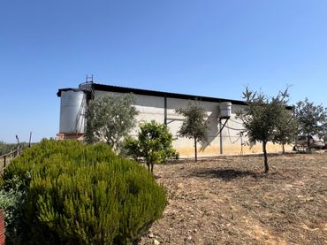 Terreno rustico in vendita a Almonte ciudad