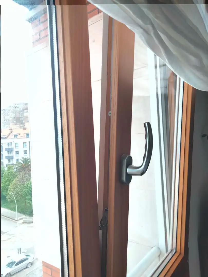 Vista exterior de Pis de lloguer en Gijón  amb Calefacció, Parquet i Moblat