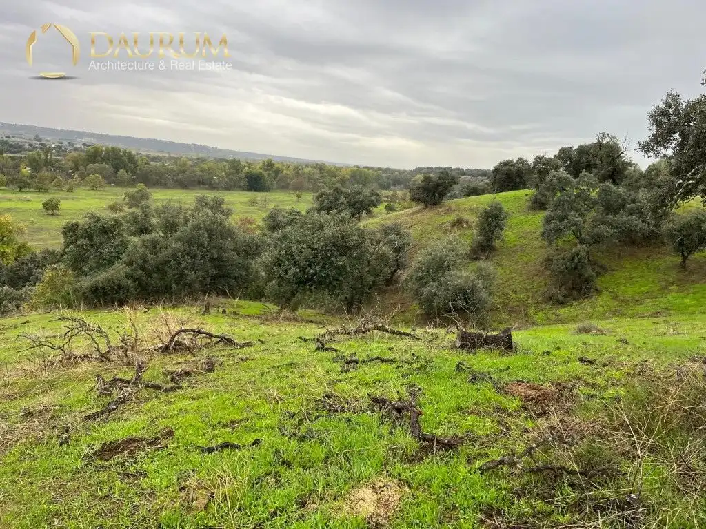 Casa o chalet en venta en Aldea del Fresno